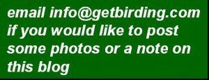 email GetBirding.com email-gb-pic1