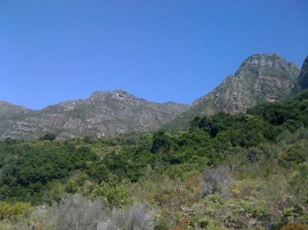 Raptor watching2 kbosch