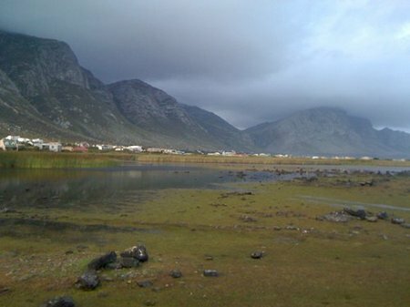 Bettys Bay wetland birding