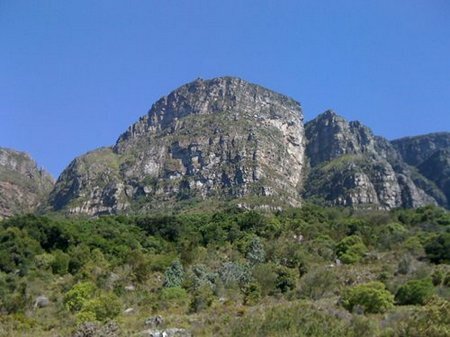 Kirstenbosch vista1